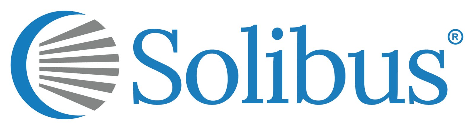 Solibus® - Solutions in Business™
